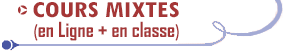 Cours de secourisme Mixte (en ligne + en classe)